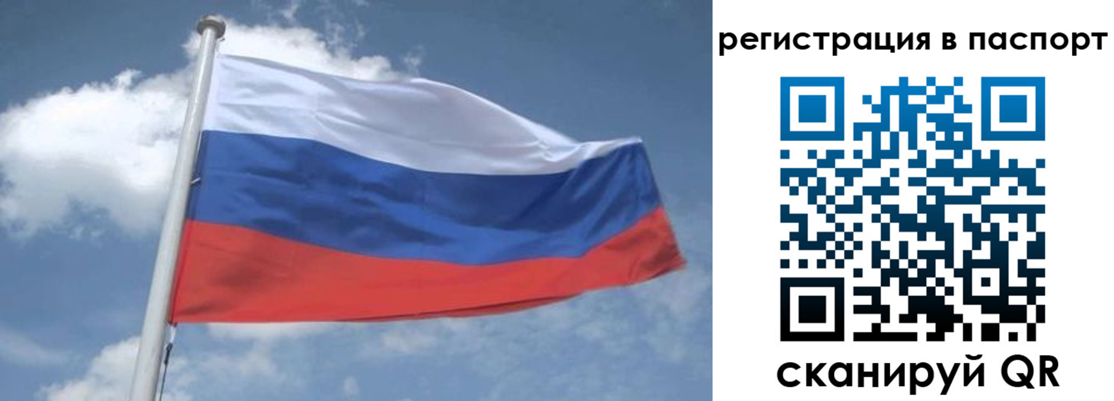 временная регистрация надежно в Камешково